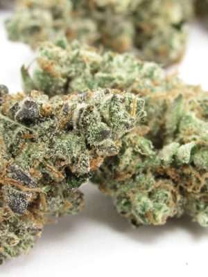 Marijuana Strains Online Europe